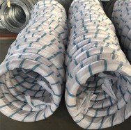 Hot-Dipped Galvanized Steel Wire 01